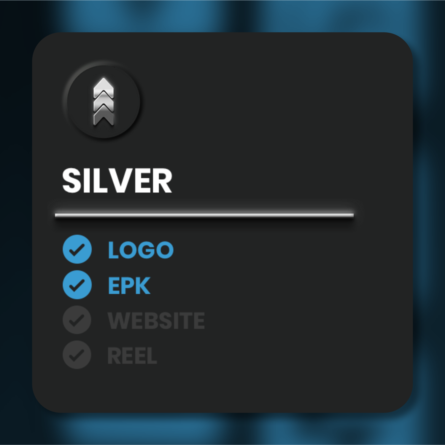 SILVER Branding Bundle