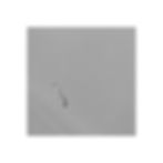 Thumbnail: Birds Set of Six