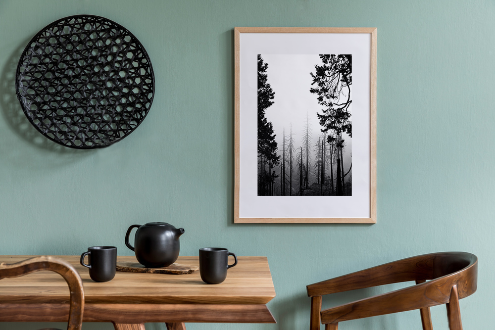 Sequoia National Park Trees