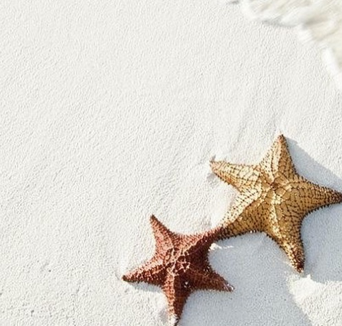 Ekran görüntüsü 2025-02-03 205824.png