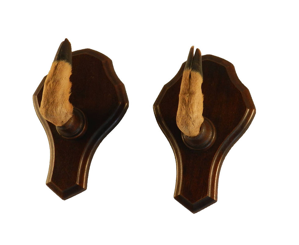 Thumbnail: Deer Hoof Coat Hooks