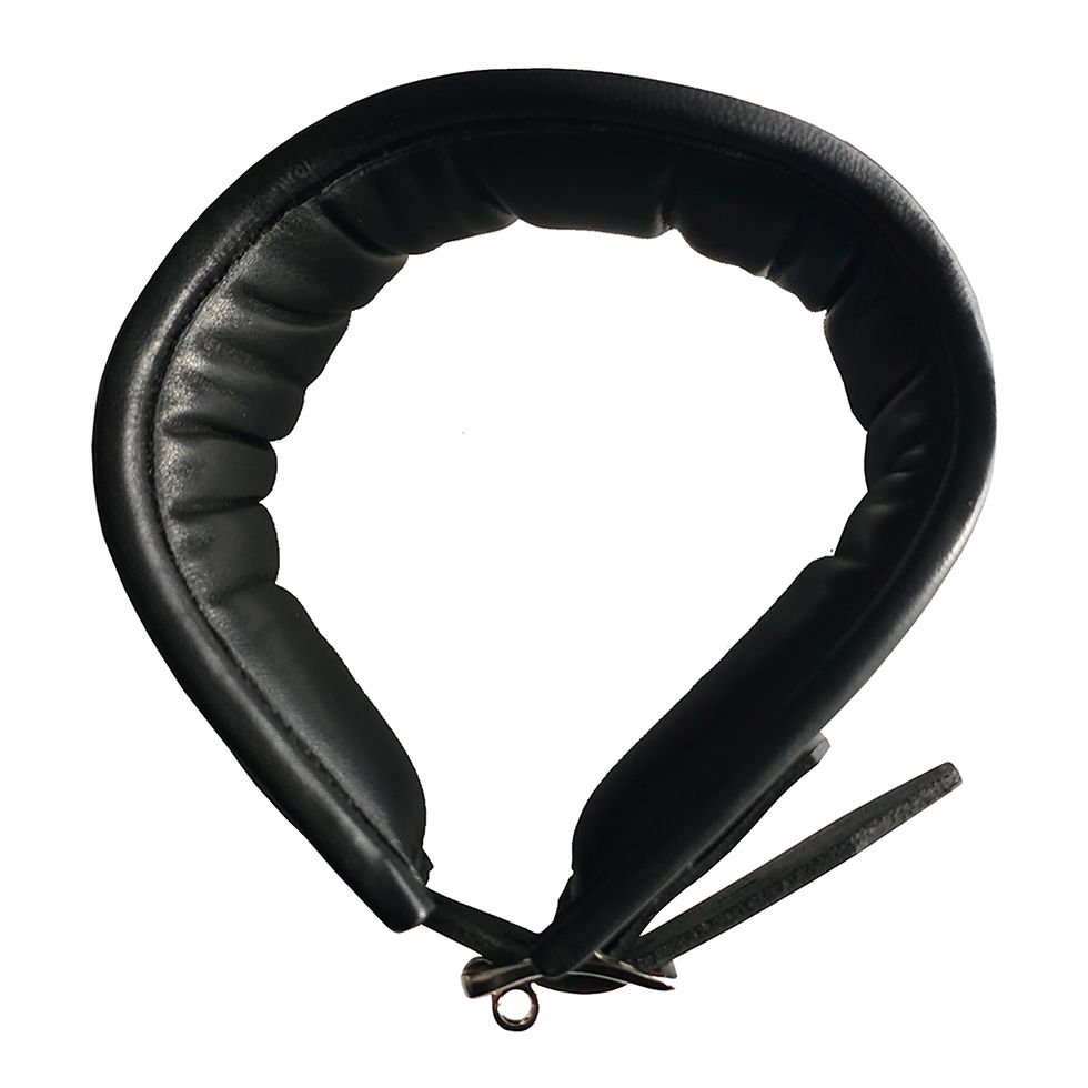 Thumbnail: Leather Posture Collar