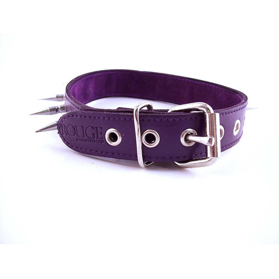 Thumbnail: Leather Spiked Collar
