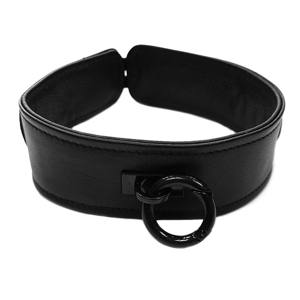 Black Leather Collar with Black Accessories