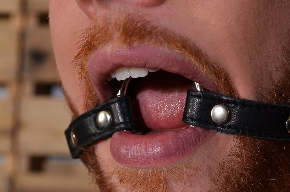 Thumbnail: Vegan Fetish Play O-Ring Gag