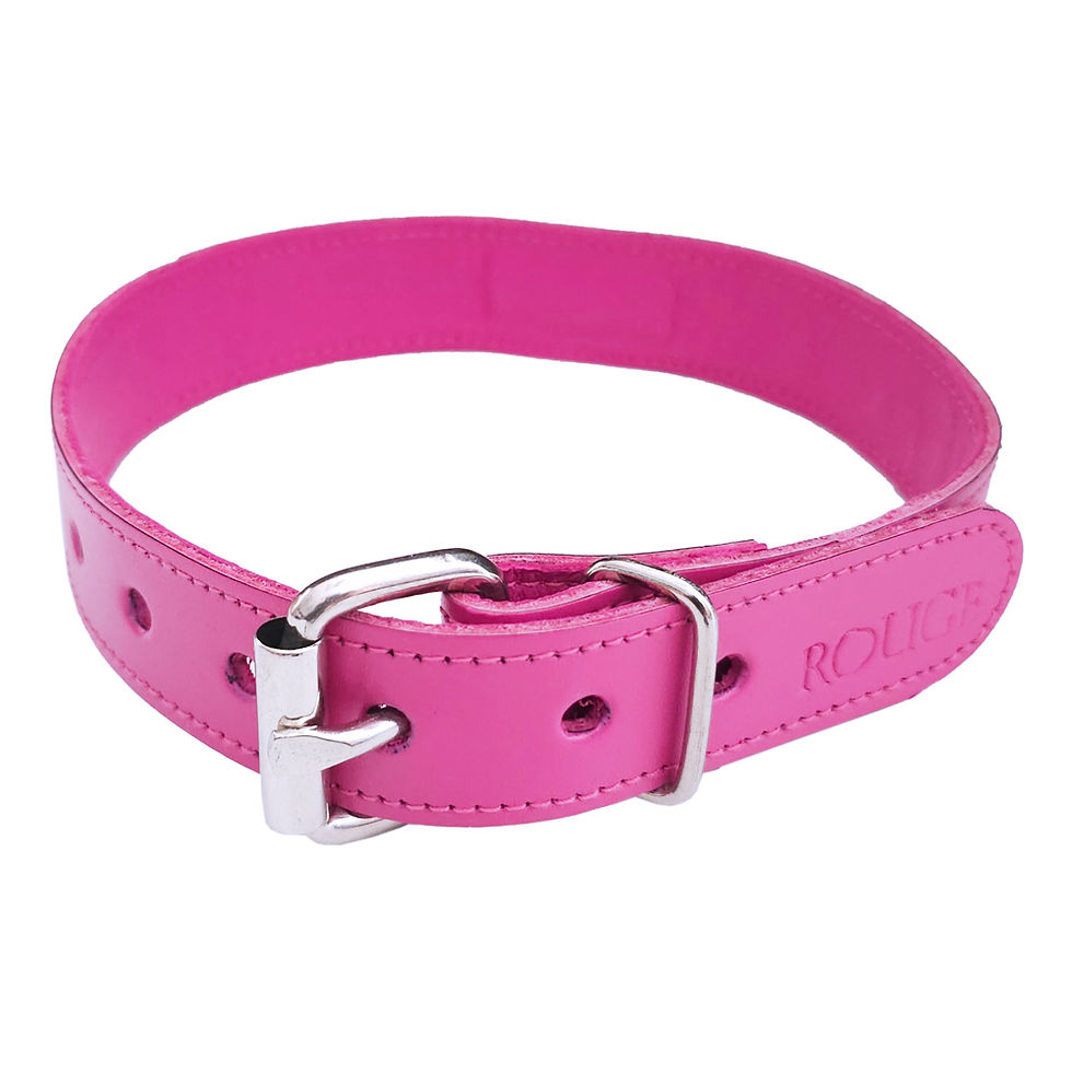 Thumbnail: Leather O-Ring Studded Collar