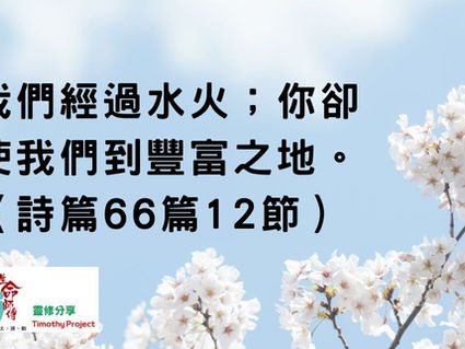 荒漠甘泉11-05-2026大字版
