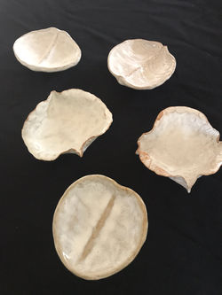 Stoneware Soap Dishes £35