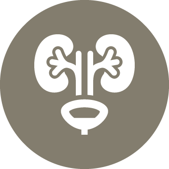 UROLOGÍA
