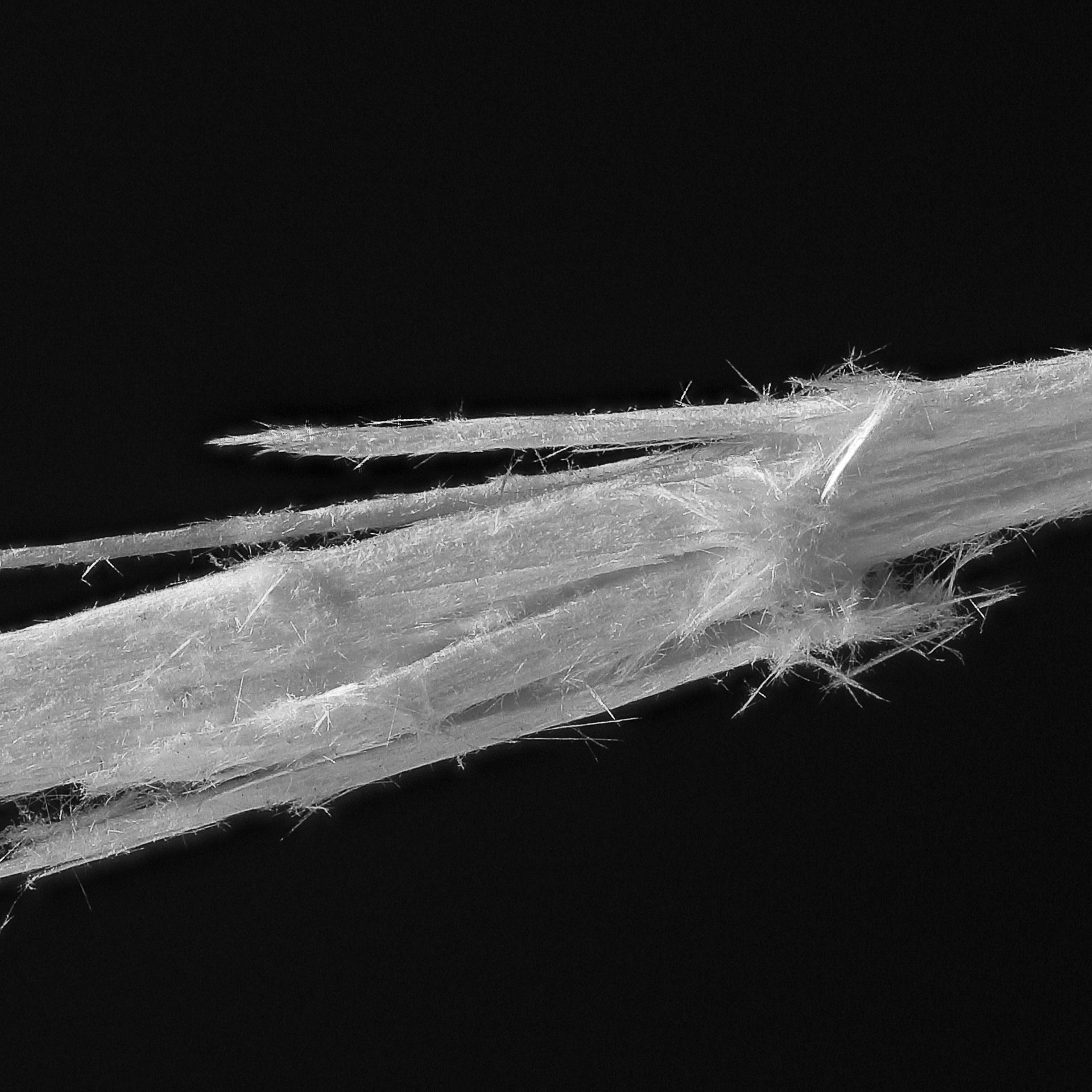 Case Study: Asbestos (Teacher & Student Edition)