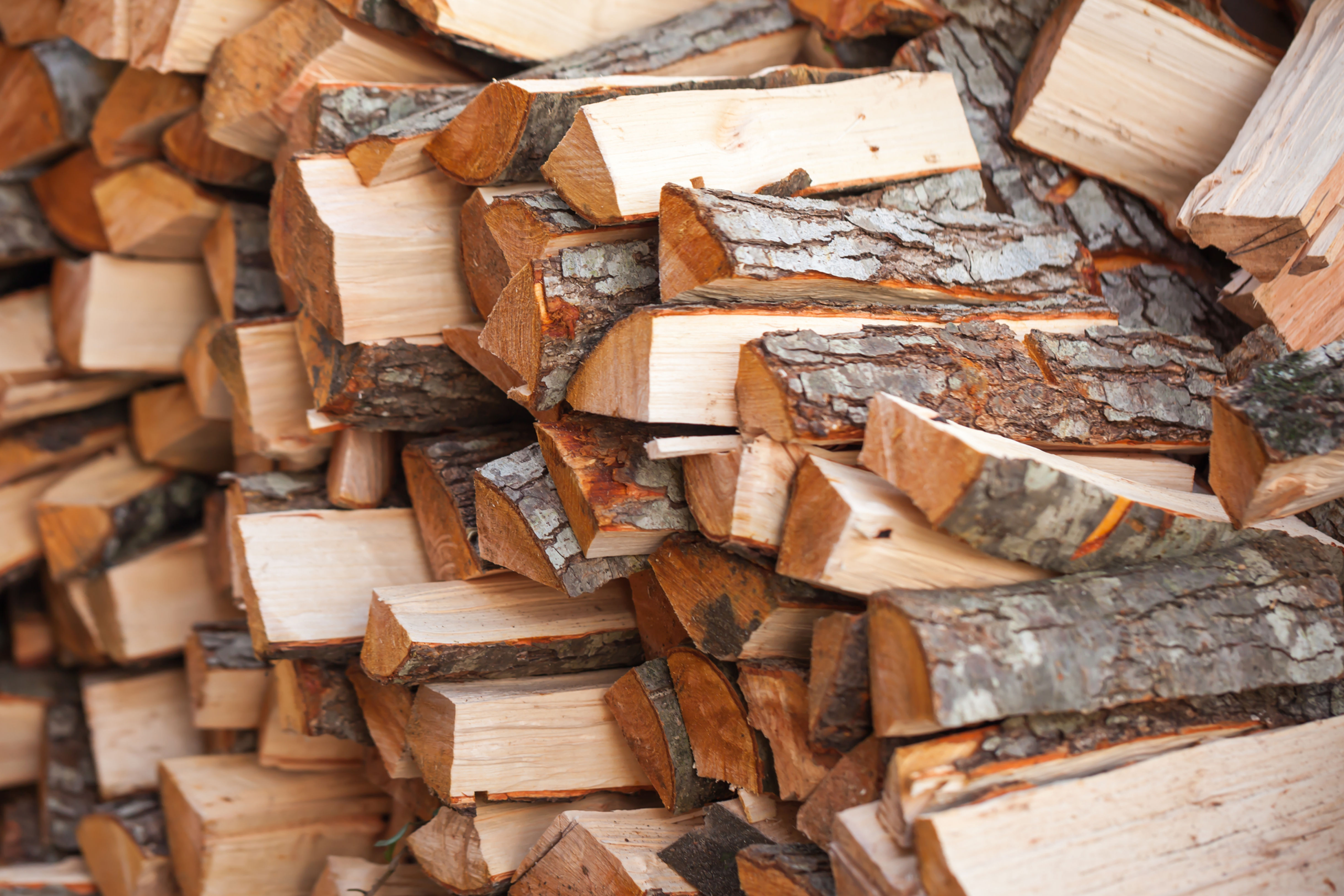 Case Study: Firewood (Teacher & Student Edition)