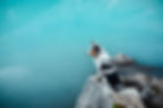 AdobeStock_259251674_edited.jpg