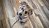 20230426_093338~2 (2)_edited_edited_edited.jpg