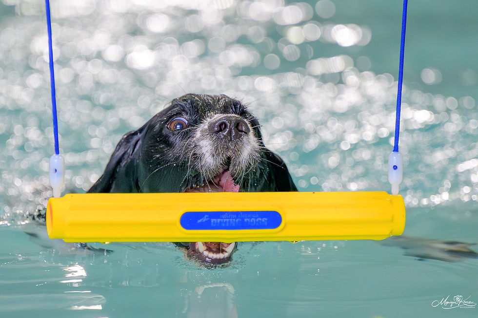 Dock Specialty Seminar