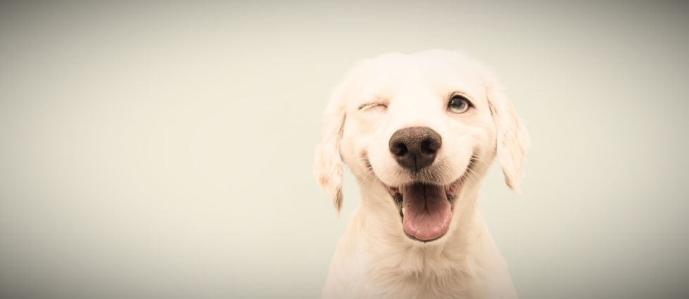 shutterstock_1830154085_edited_edited (1).jpg