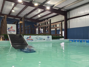 Exploring the Fun of Dock Diving