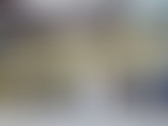 The Excitement Builds: Dock Diving Deck Nears Completion at Mill Pond Kennels!