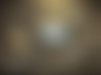 2024 Q3: Albatross 1.4