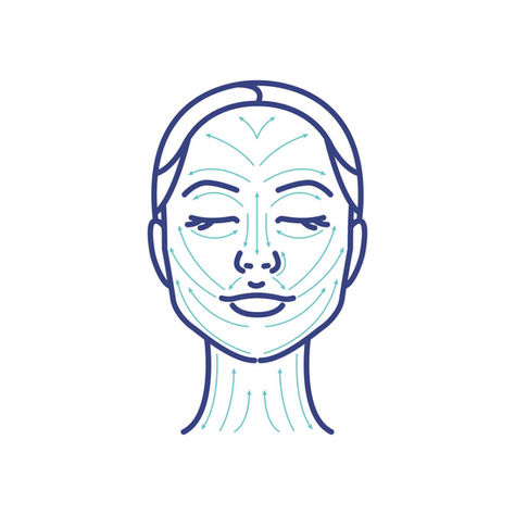 Facial Lymphatic Drainage Map