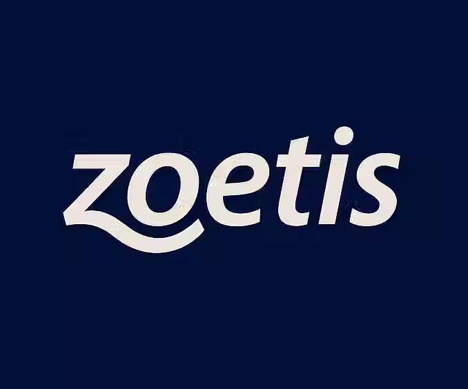 Zoetis Inc. stock investing summary image