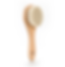 Thumbnail: The Prep- Brush