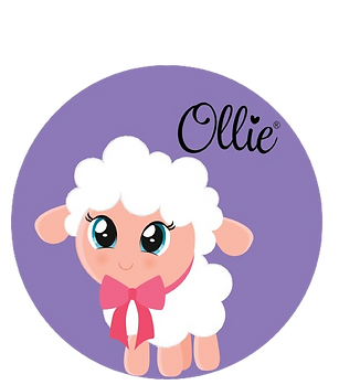 ollie-removebg-preview.png