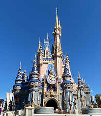 wdw castle.heic