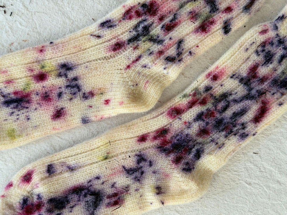 Tiñe tus calcetines de invierno 🧦❄️🌼