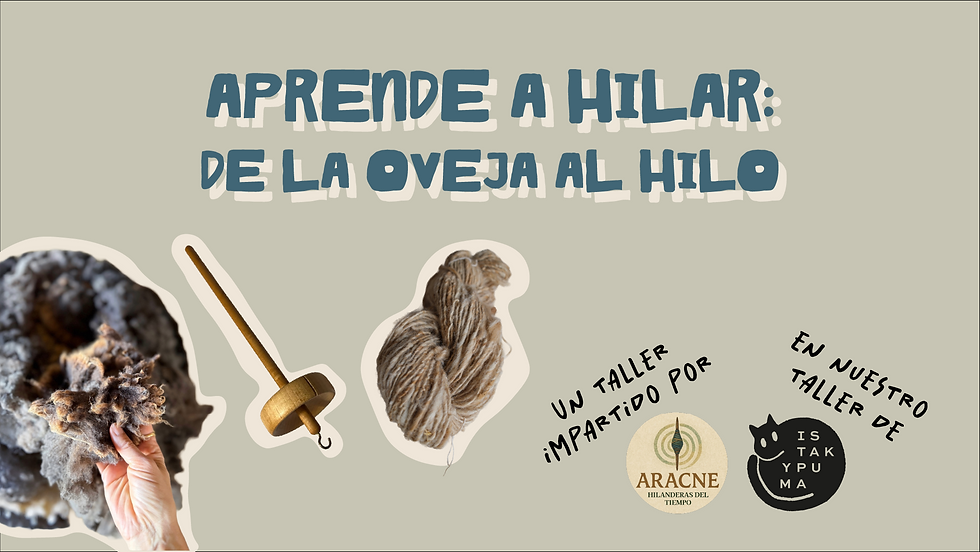 Aprende a hilar: de la oveja al hilo