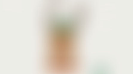 Feliz navidad y prospero año 2016