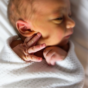 8 day old Roux