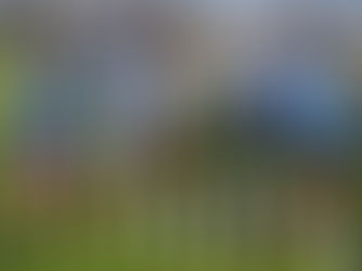 Micael und Schlecht glänzen mit Bestzeit im Bienwald