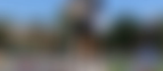 Katharina Oswald gewinnt Golfparklauf in St. Leon-Rot