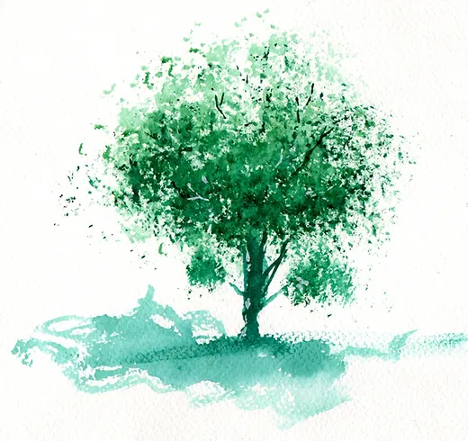 Carnet De Voyage Cours Gratuit Aquarelle