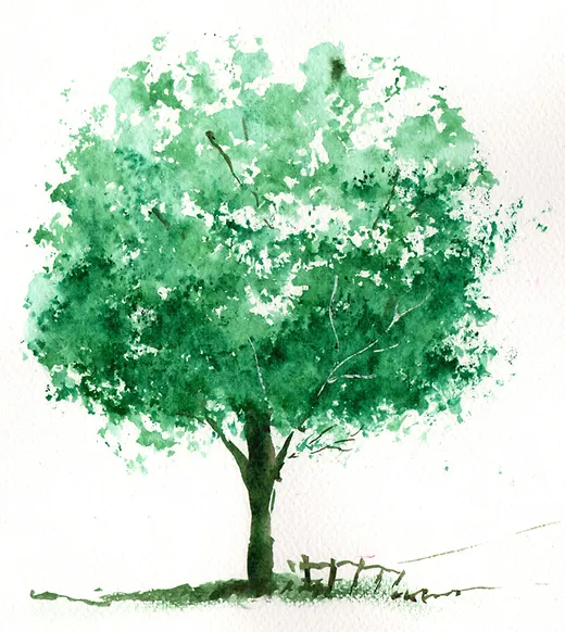 Carnet De Voyage Cours Gratuit Aquarelle