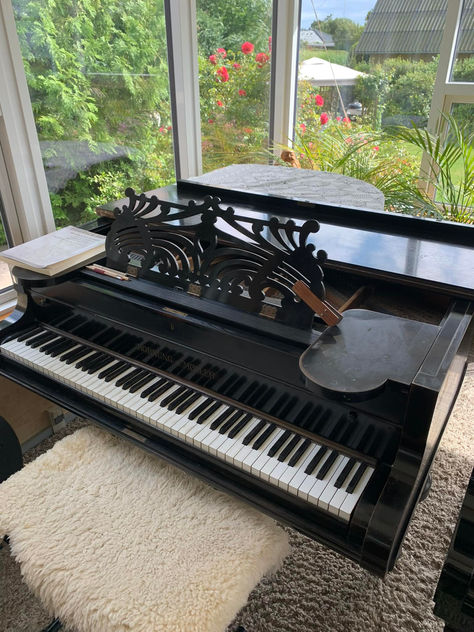 ET NYT HJEM TIL DETTE PRAGTEKSEMPLAR ...