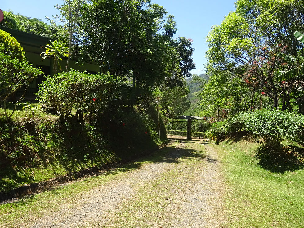 DSC04336