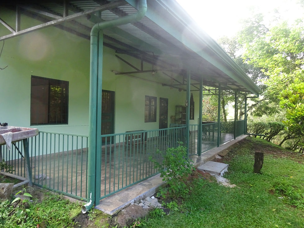 DSC03918(1)