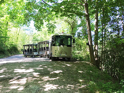 LE PETIT TRAIN DE LA GROTTE DE LOMBRIVES