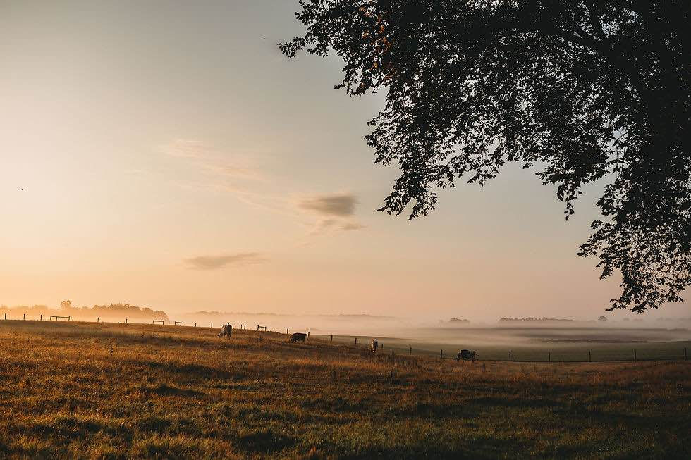Canada Farm Mortgages