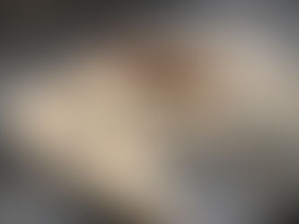 Wooden Toy Cars and Trucks