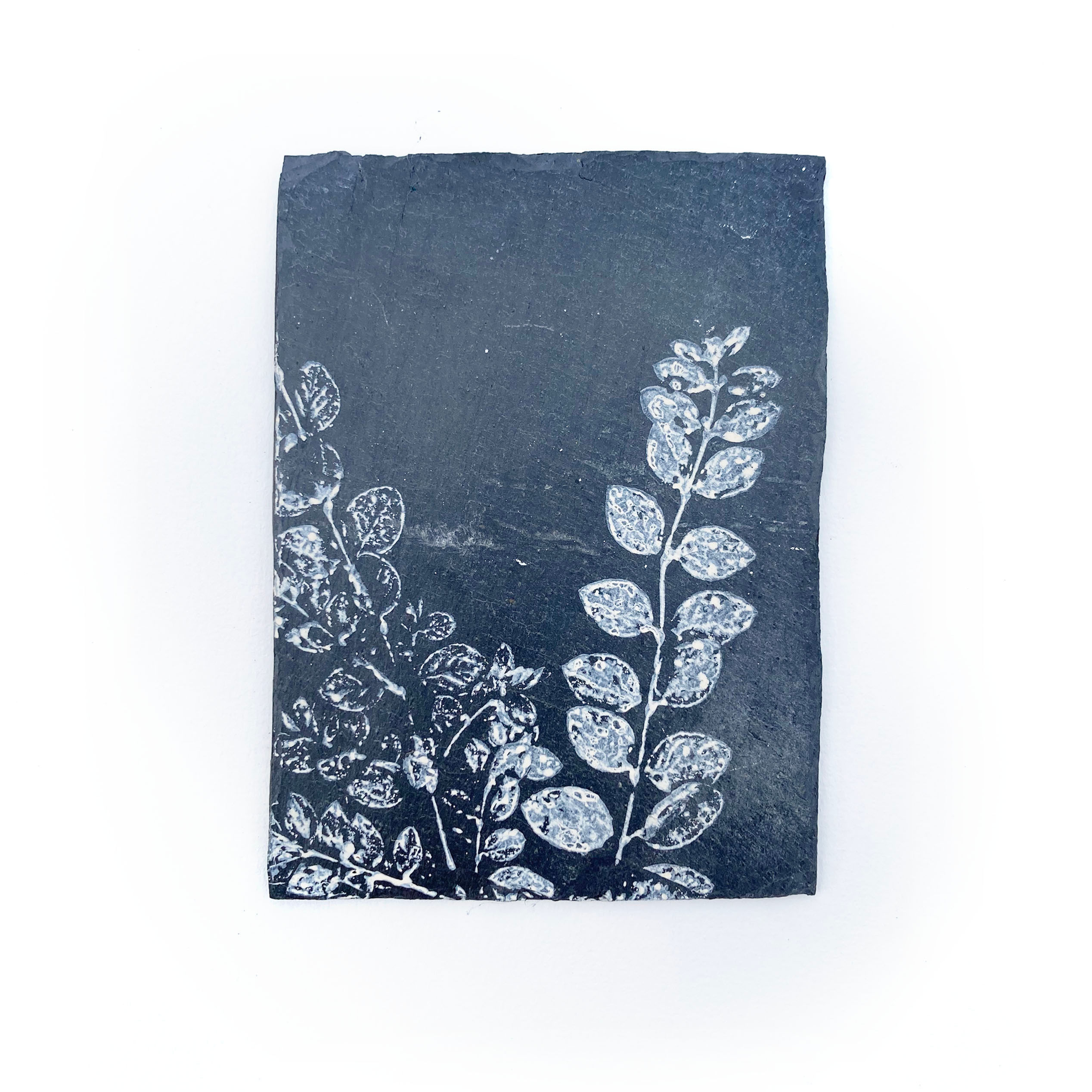 Persistante monochrome - 9,5 x 14 cm