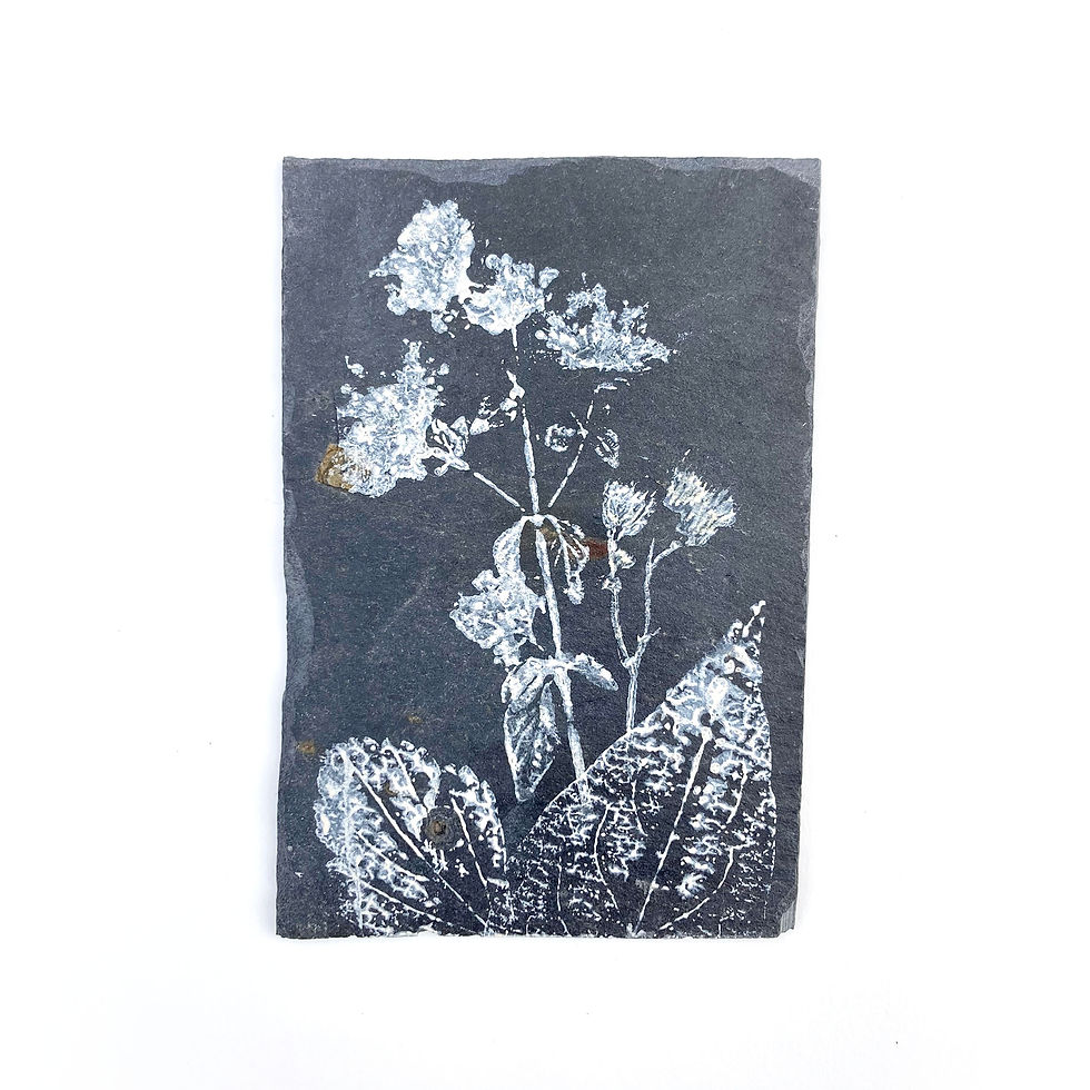 Fleurs d'origan, feuille d'hélianthi et de valériane - 7 x 10,5 cm