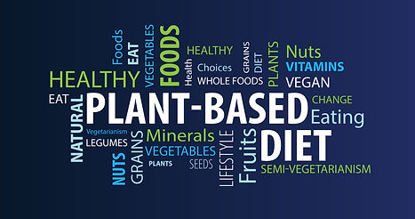 Plant-Based Diet Explained.jpeg