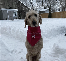 Screenshot 2025-09-30 at 1.40.46 PM.png