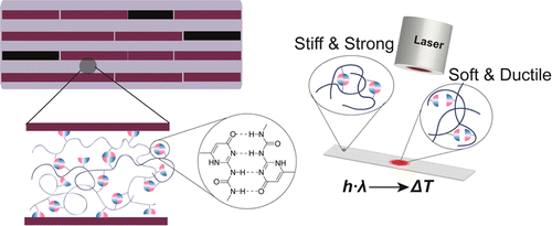 Light-Adaptive Supramolecular Nacre-Mimetic Nanocomposites