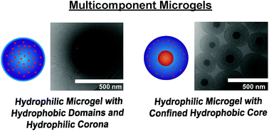 Blending of Reactive Prepolymers to Control the Morphology and Polarity of Polyglycidol Based Microg