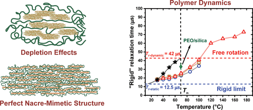 Structure, Mechanical Properties, and Dynamics of Polyethylenoxide/Nanoclay Nacre-Mimetic Nanocompos