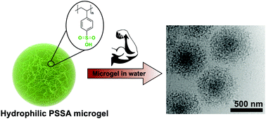 Strong Anionic Polylectrolyte Microgels