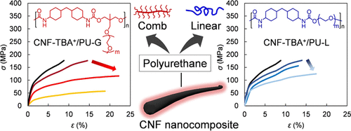 Efficient Softening and Toughening Strategies of Cellulose Nanofibril NCs Using Comb Polymers